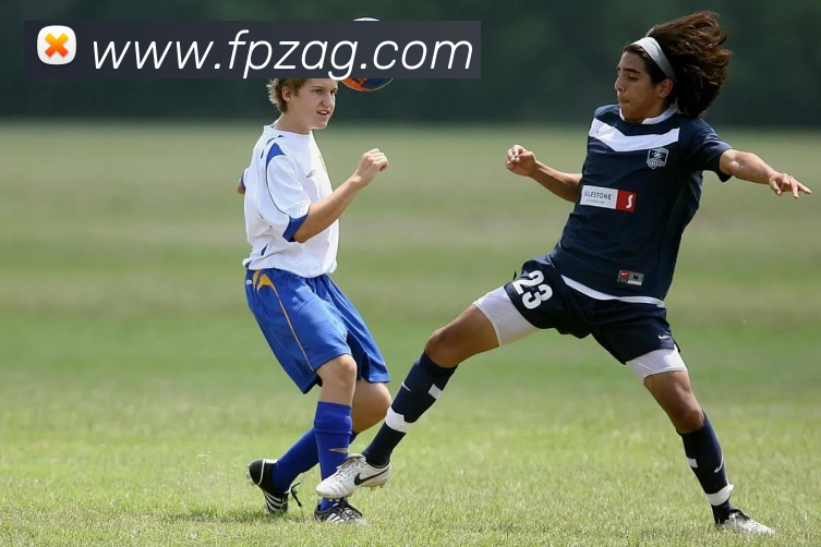 ag官网平台生态图